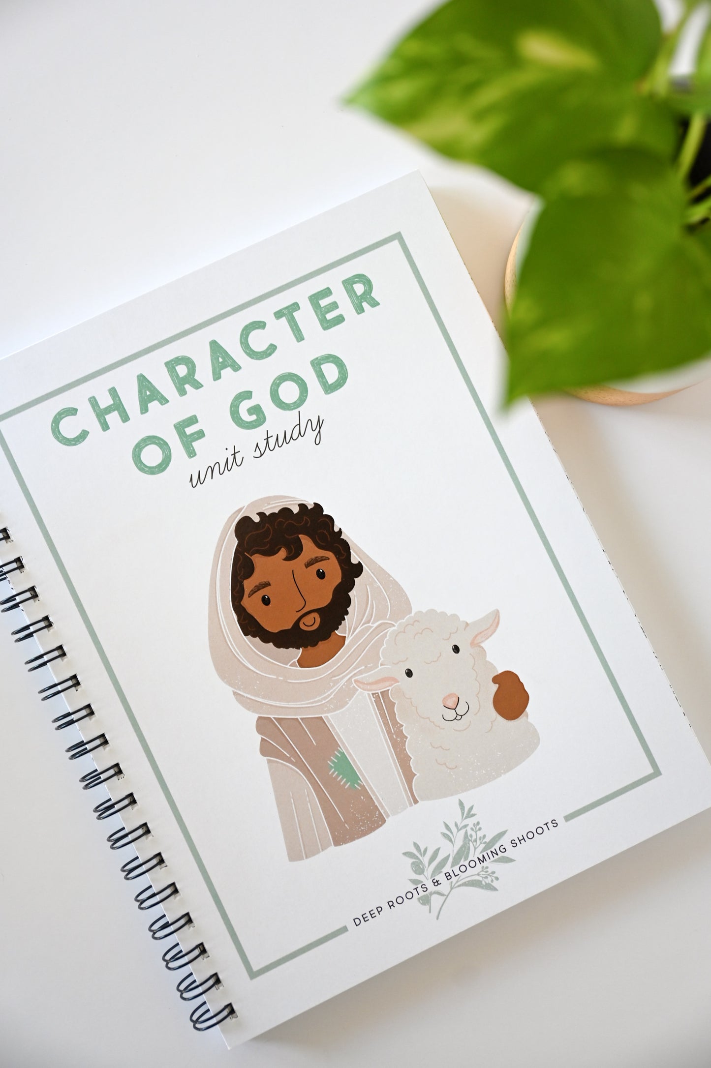 Character Of God Unit Study